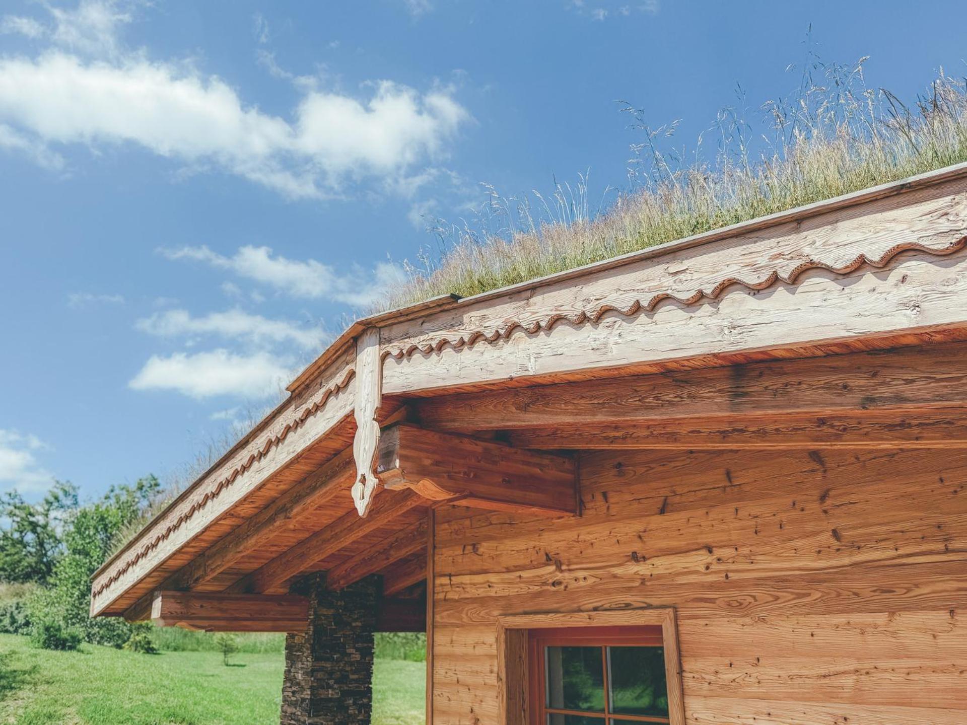 Chalets Resort Cinovec Bagian luar foto